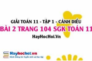 Giải bài 2 trang 104 Toán 11 tập 1 SGK Cánh Diều